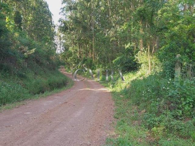 Sítio e chácara venda em Região Geográfica Imediata de Taquara - Parobé - Igrejinha, Região Metropolitana de Porto Alegre