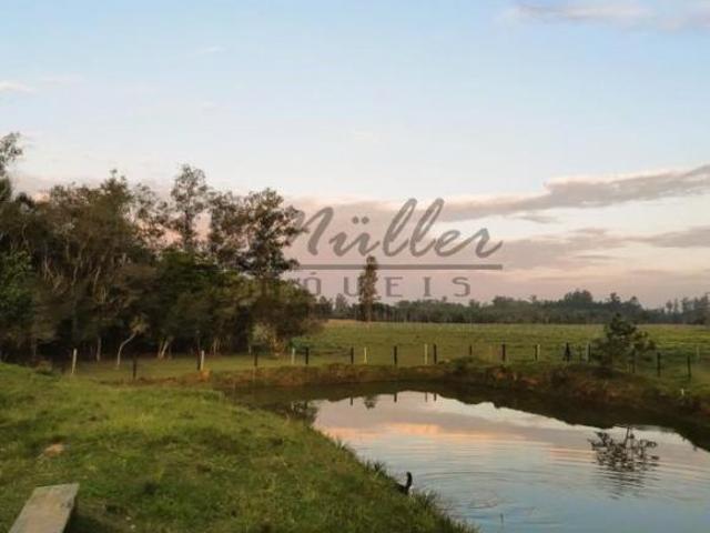 Sítio e chácara venda em Região Geográfica Imediata de Santa Cruz do Sul, Santa Cruz do Sul