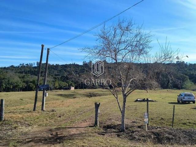 Sítio e chácara venda em Região Geográfica Imediata de Santa Cruz do Sul, Santa Cruz do Sul
