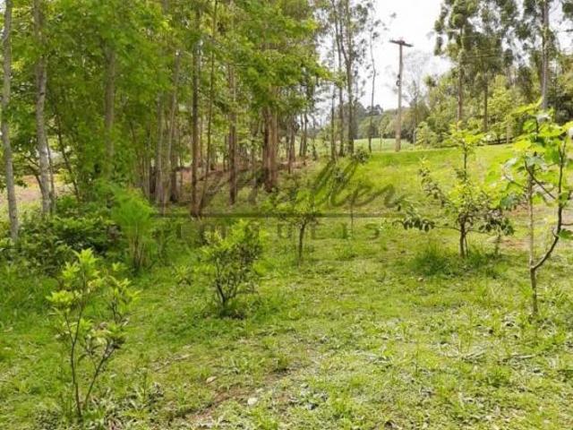 Sítio e chácara venda em Região Geográfica Imediata de Santa Cruz do Sul, Santa Cruz do Sul