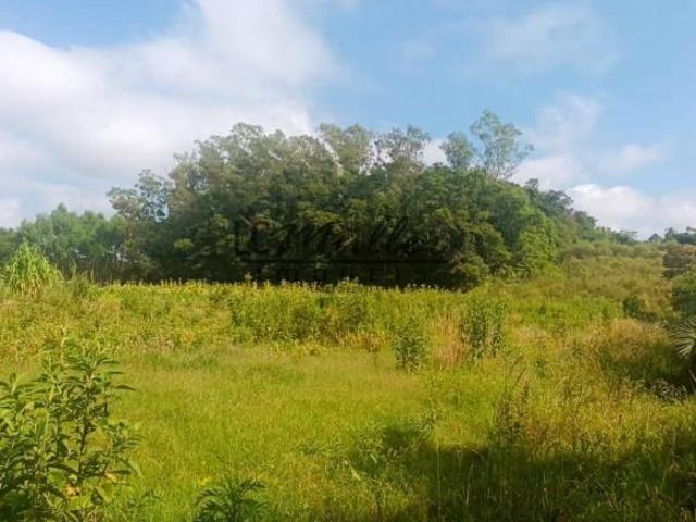Sítio e chácara venda em Região Geográfica Imediata de Santa Cruz do Sul, Santa Cruz do Sul