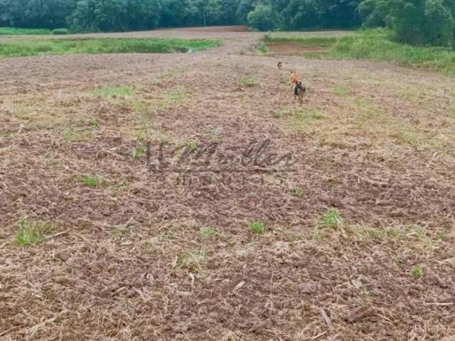 Sítio e chácara venda em Região Geográfica Imediata de Santa Cruz do Sul, Santa Cruz do Sul