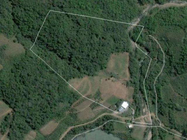 Sítio e chácara venda em Região Geográfica Imediata de Caxias do Sul, Caxias do Sul