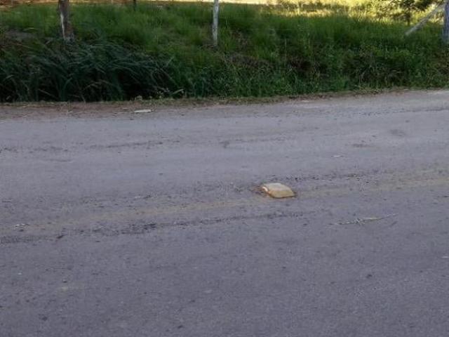 Sítio e chácara venda em Região Geográfica Imediata de Caxias do Sul, Caxias do Sul