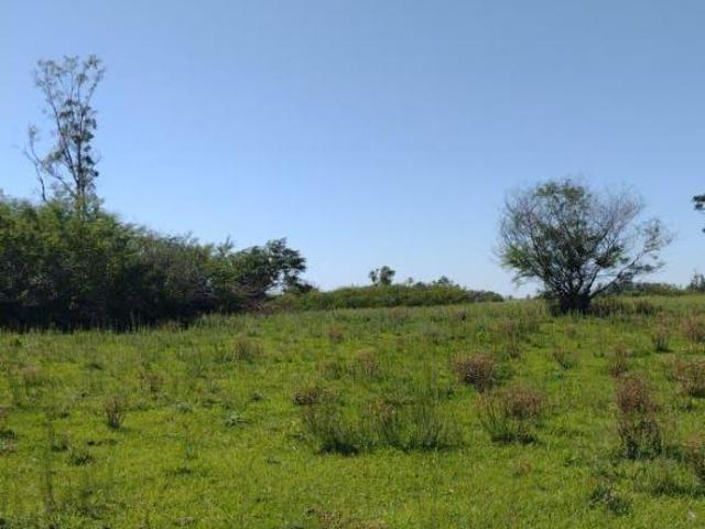Sítio e chácara venda em Região Geográfica Imediata de Santa Maria, Santa Maria