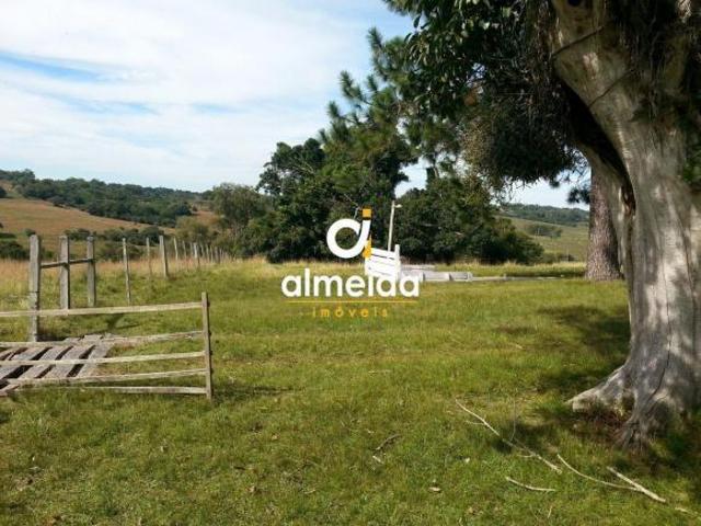 Sítio e chácara venda em Região Geográfica Imediata de Santa Maria, Santa Maria