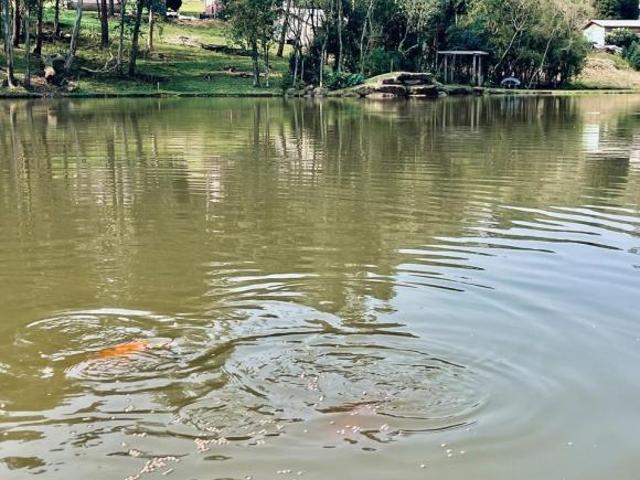 Sítio e chácara venda em Região Geográfica Imediata de Novo Hamburgo - São Leopoldo, Santa Maria do Herval