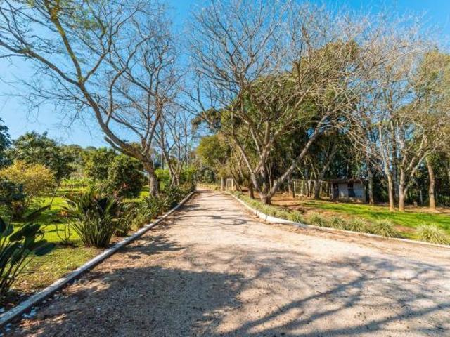 Sítio e chácara venda em Cercadinho, Campo Largo