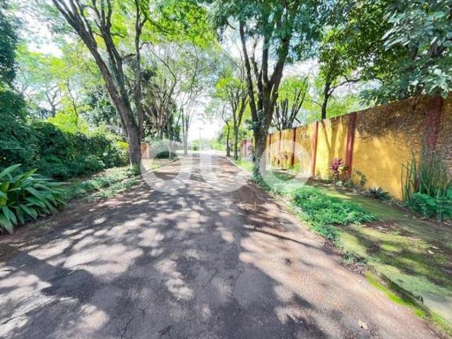 Sítio e chácara venda em Aguaí