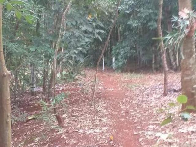 Sítio e chácara venda em Região Geográfica Imediata de Foz do Iguaçu, Santa Terezinha de Itaipu