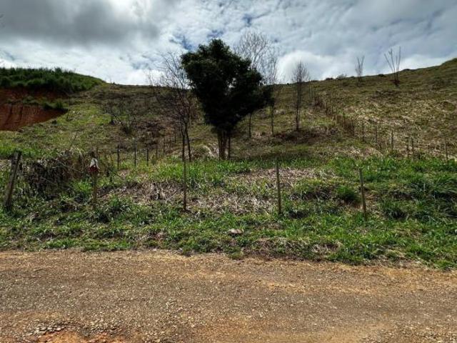 Sítio e chácara venda em Chácaras Cidade Nova, Santana do Paraíso