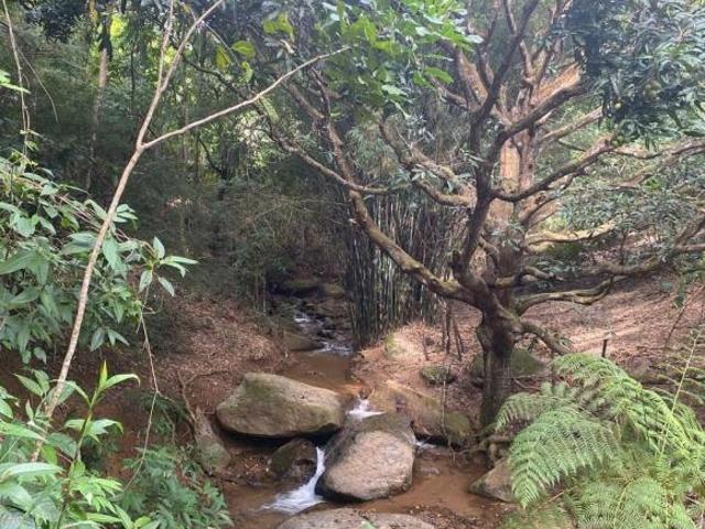 Sítio e chácara venda em Região Geográfica Imediata de Ipatinga, Região Metropolitana do Vale do Aço