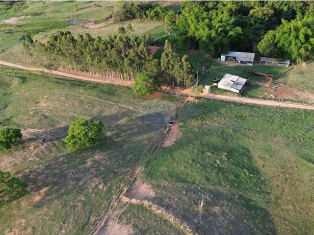 Sítio e chácara venda em Região Imediata de Ribeirão Preto, Região Metropolitana de Ribeirão Preto