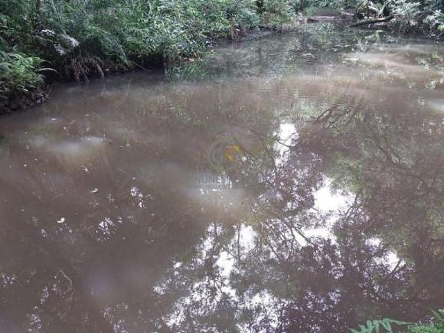 Sítio e chácara venda em Região Geográfica Imediata de Curitiba, Região Metropolitana de Curitiba