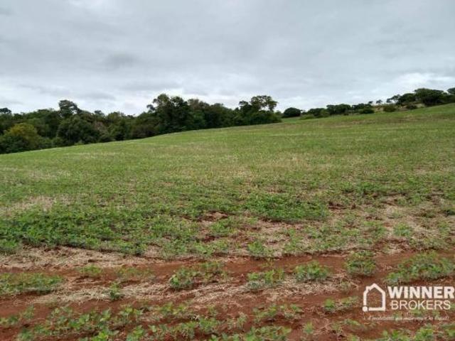Sítio e chácara venda em Região Geográfica Imediata de Maringá, Sarandi