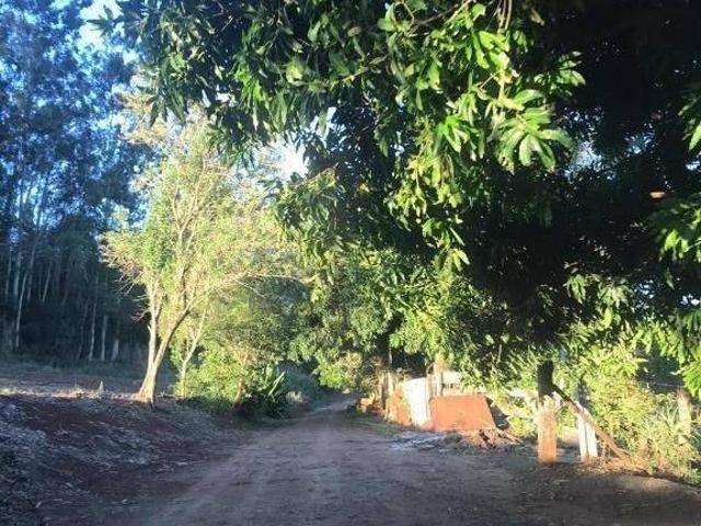 Sítio e chácara venda em Região Geográfica Imediata de Maringá, Sarandi