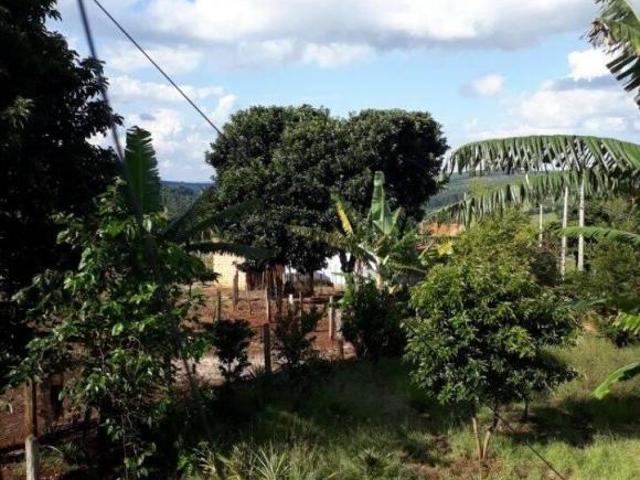 Sítio e chácara venda em Região Imediata de Piraju, Sarutaia