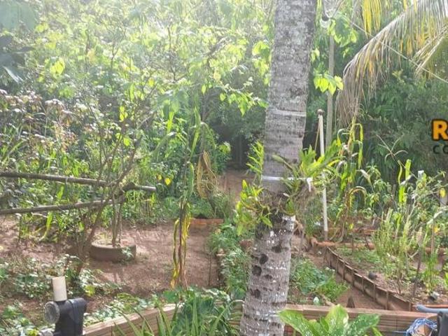 Sítio e chácara venda em São Pedro