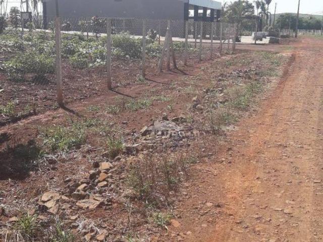 Sítio e chácara venda em Região Geográfica Imediata de Londrina, Sertanópolis