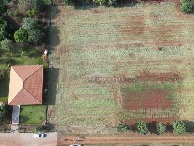 Sítio e chácara venda em Região Geográfica Imediata de Londrina, Sertanópolis
