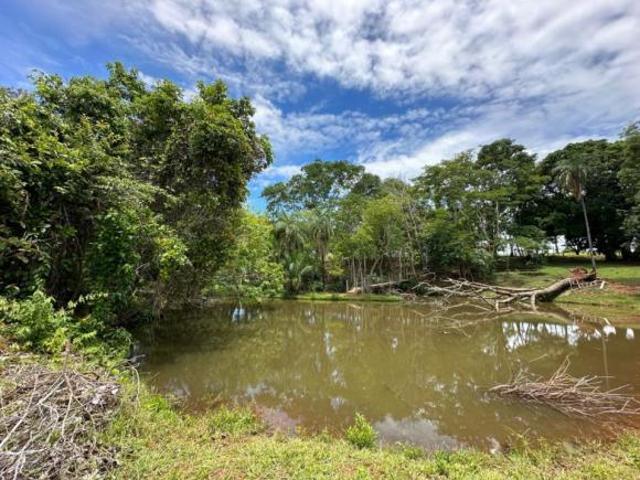 Sítio e chácara venda em Região Geográfica Imediata de Goiânia, Goiânia