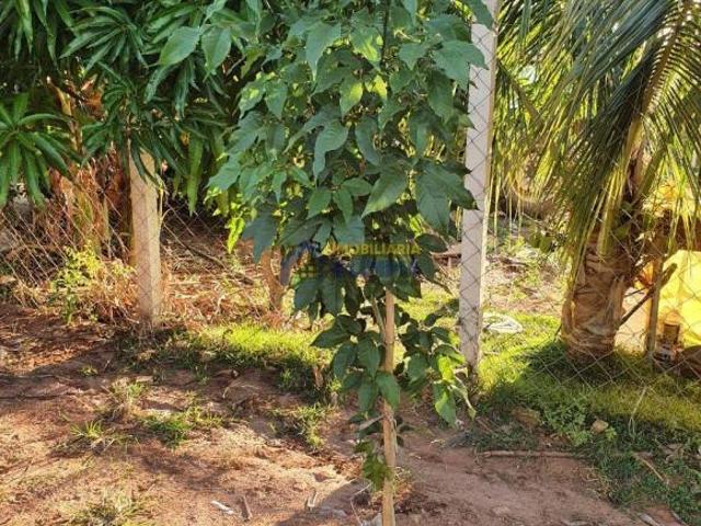 Sítio e chácara venda em Região Imediata de Barretos, Região Metropolitana de São José do Rio Preto