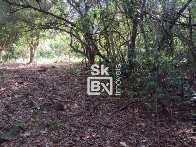 Sítio e chácara venda em Região Geográfica Imediata de Uberlândia, Oliveira Fortes