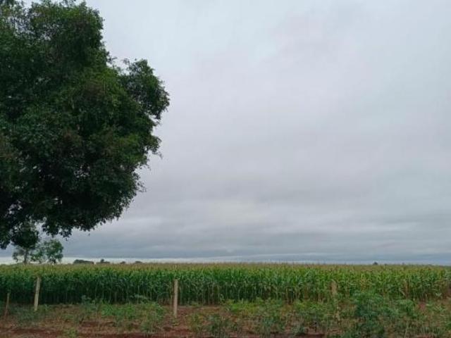 Sítio e chácara venda em Região Geográfica Imediata de Campo Grande, Sidrolândia