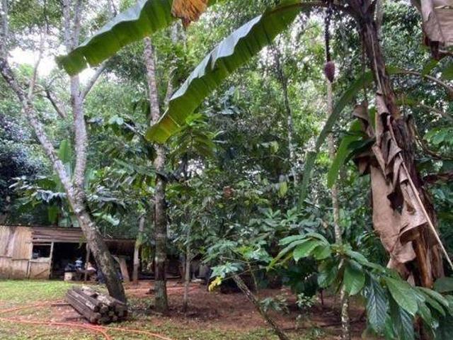 Sítio e chácara venda em Região Geográfica Imediata de Sorriso, Sorriso