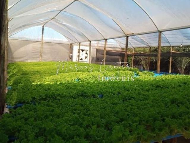 Sítio e chácara venda em Região Imediata de São José do Rio Preto, Região Metropolitana de São José do Rio Preto