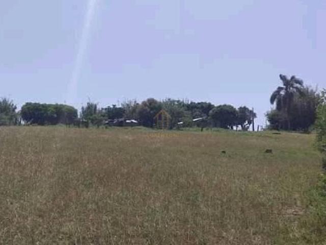 Sítio e chácara venda em Região Geográfica Imediata de Santa Maria, Santa Maria