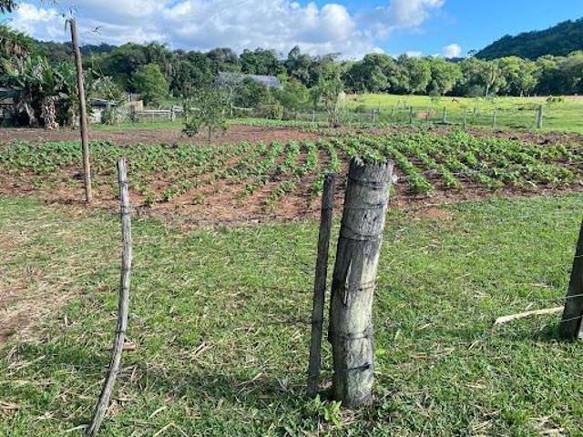 Sítio e chácara venda em Pega Fogo, Taquara