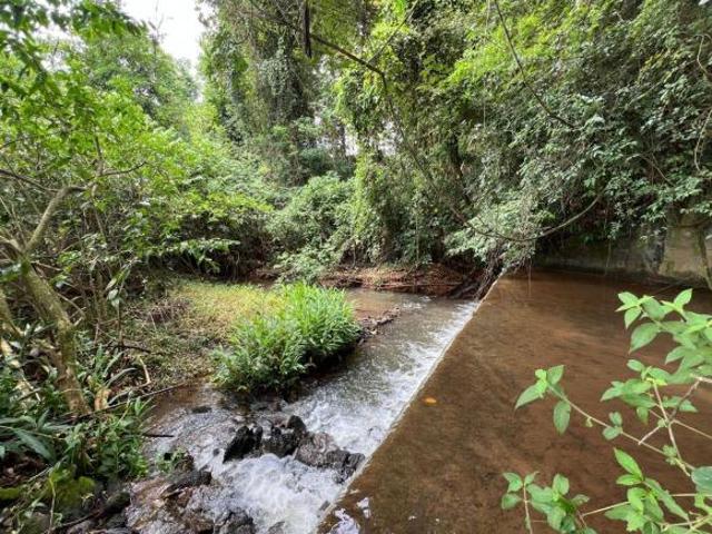 Sítio e chácara venda em Região Geográfica Imediata de Goiânia, Terezópolis de Goiás