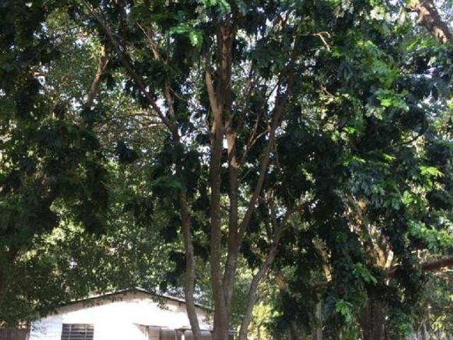 Sítio e chácara venda em Região Imediata de Sorocaba, Região Metropolitana de Sorocaba