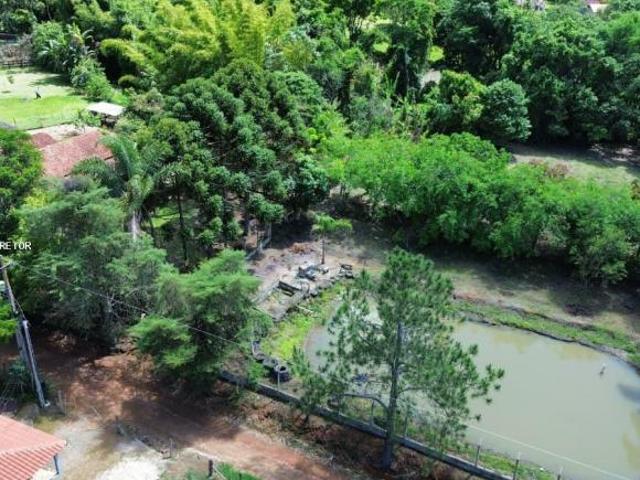 Sítio e chácara venda em Região Geográfica Imediata de Pouso Alegre, Região Sudeste