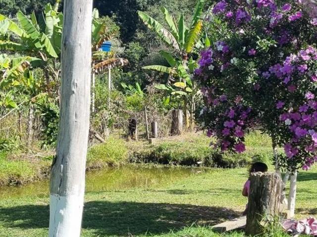 Sítio e chácara venda em Região Imediata de Bragança Paulista, Tuiuti