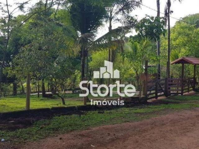 Sítio e chácara venda em Região Geográfica Imediata de Uberlândia, Oliveira Fortes