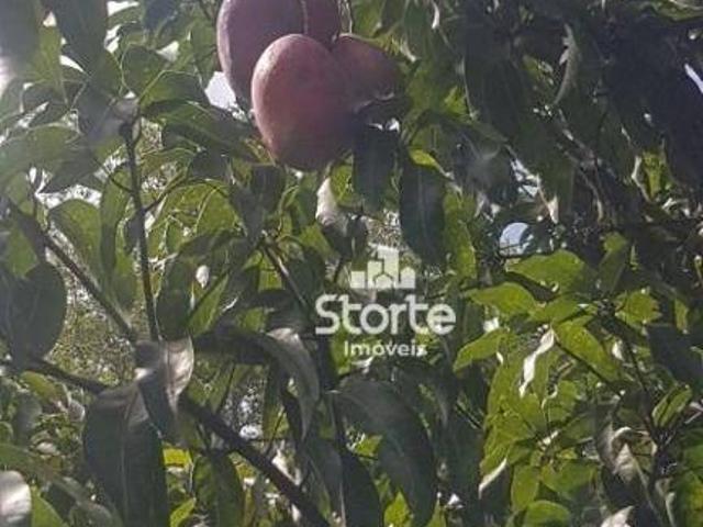 Sítio e chácara venda em Região Geográfica Imediata de Uberlândia, Oliveira Fortes