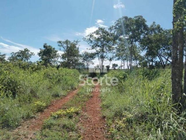 Sítio e chácara venda em Região Geográfica Imediata de Uberlândia, Indianópolis