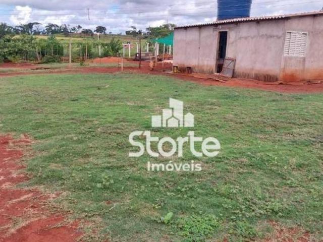 Sítio e chácara venda em Região Geográfica Imediata de Uberlândia, Oliveira Fortes