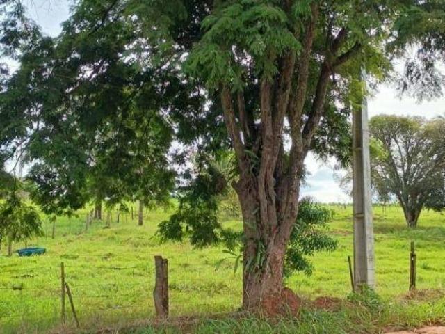 Sítio e chácara venda em Região Geográfica Imediata de Maringá, Uniflor