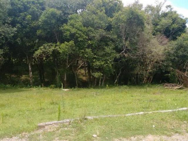 Sítio e chácara venda em Região Geográfica Imediata de Santa Maria, Santa Maria