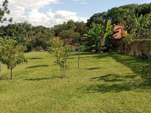 Sítio e chácara venda em Região Geográfica Imediata de Londrina, Londrina