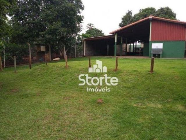 Sítio e chácara venda em Região Geográfica Imediata de Uberlândia, Oliveira Fortes