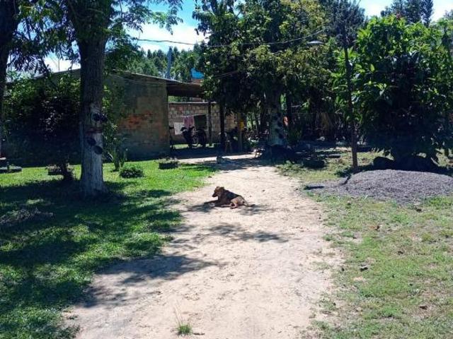 Sítio e chácara venda em Região Geográfica Imediata de Porto Alegre, Região Metropolitana de Porto Alegre