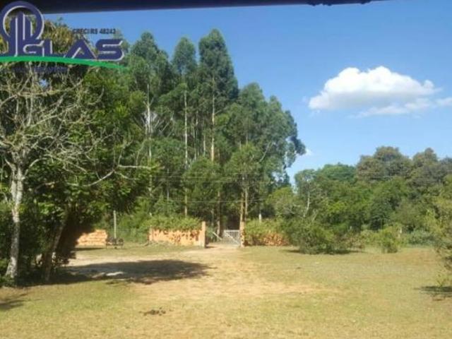 Sítio e chácara venda em Região Geográfica Imediata de Porto Alegre, Região Metropolitana de Porto Alegre