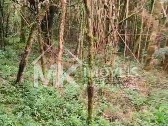 Sítio e chácara venda em Região Geográfica Imediata de Curitiba, Região Metropolitana de Curitiba