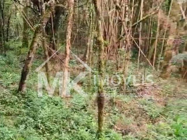Sítio e chácara venda em Piraquara, Região Geográfica Intermediária de Curitiba