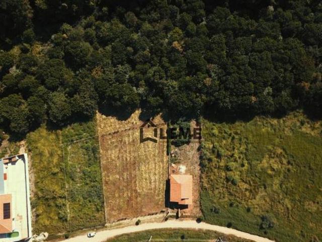 Sítio e chácara venda em Região Imediata de São José do Rio Pardo-Mococa, Região Metropolitana de Ribeirão Preto