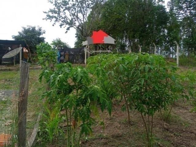 Sítio e chácara venda em Região Imediata de Campinas, Região Metropolitana de Campinas
